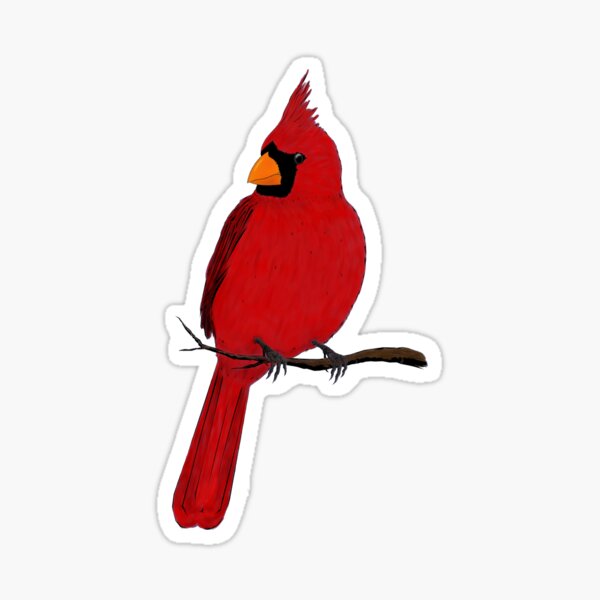 St. Louis Cardinals Bird by © Buck Tee Originals - St Louis Cardinals -  Sticker