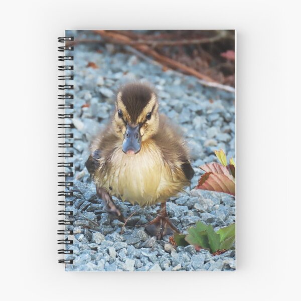 Item preview, Baby Mallard Duckling on the Hunt! designed and sold by Monica-Stroud.