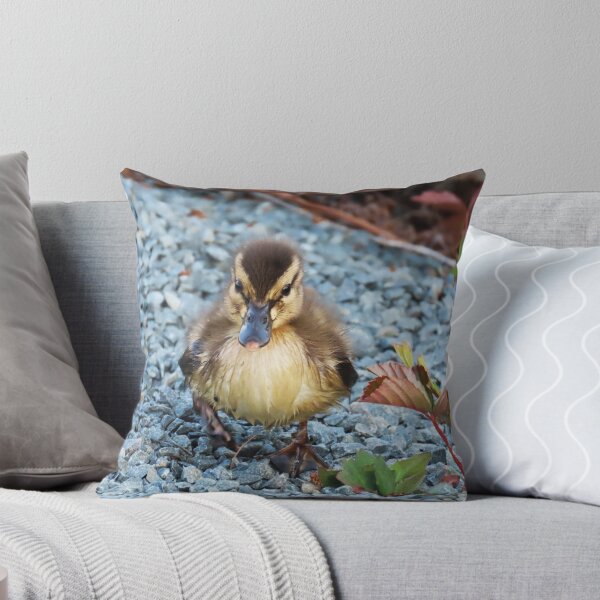 Item preview, Baby Mallard Duckling on the Hunt! designed and sold by Monica-Stroud.