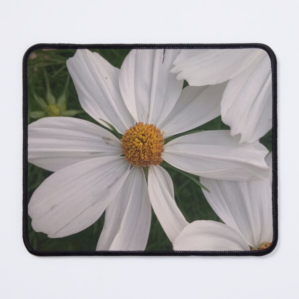 Item preview, Cosmos designed and sold by Life's eye Art and photography.