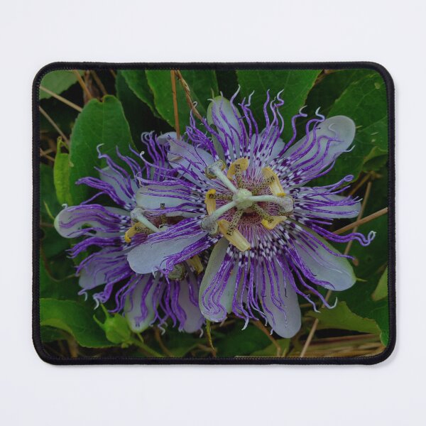 Item preview, Passion Flower designed and sold by TwistedStag.