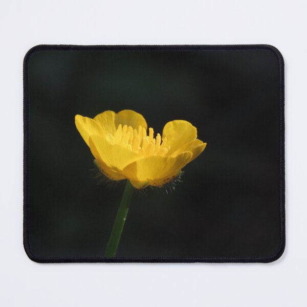 Item preview, The Beautiful Yellow Buttercup designed and sold by Monica-Stroud.