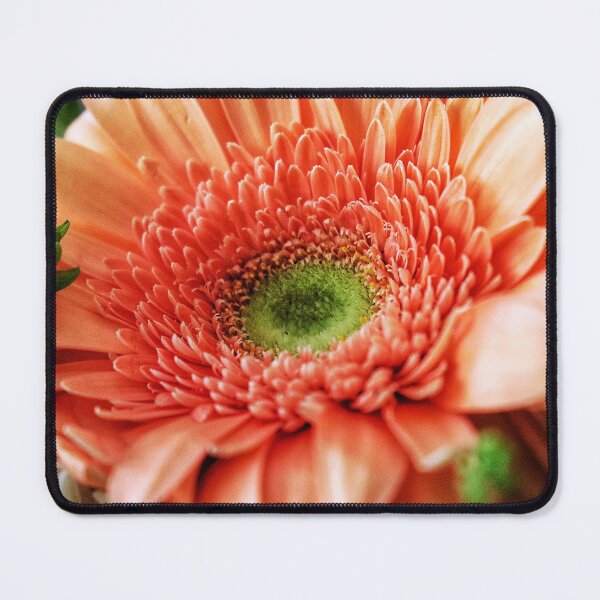 Item preview, Orange Daisy designed and sold by thegspt.
