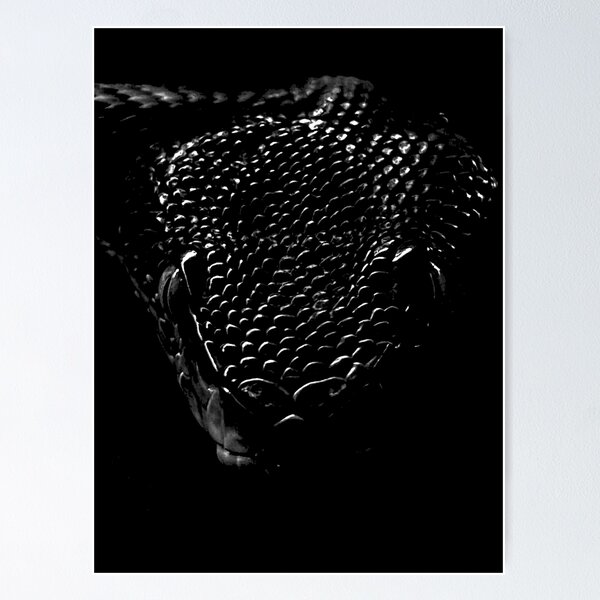 Item preview, CULEBRA THE DARK LIFE 10  designed and sold by BOLLA67.