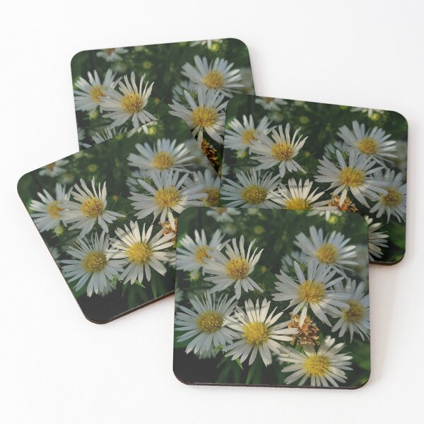Item preview, Frost Asters designed and sold by TwistedStag.