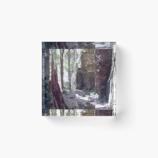 Item preview, Springbrook Nat, Park QLD. Aust   designed and sold by MardiGCalero.