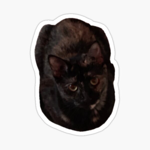 Black Loaf Cat Sticker – moon sheep co.