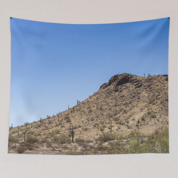 Item preview, Cactus Hill Photography Under Scorching Sun V1 designed and sold by Family Journey with God.