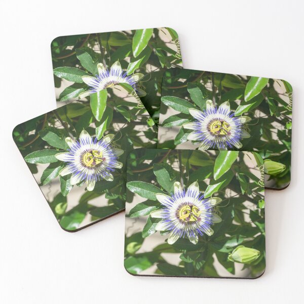 Item preview, Passionflower Bloom - Exotic Gift from South America designed and sold by Georgia Mizuleva.