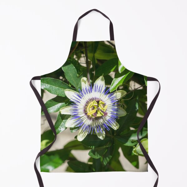 Item preview, Passionflower Bloom - Exotic Gift from South America designed and sold by Georgia Mizuleva.