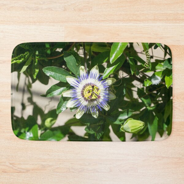 Item preview, Passionflower Bloom - Exotic Gift from South America designed and sold by Georgia Mizuleva.