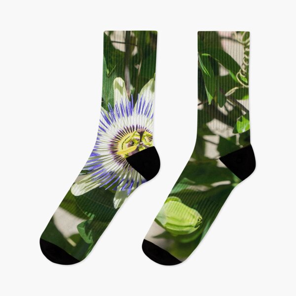 Item preview, Passionflower Bloom - Exotic Gift from South America designed and sold by Georgia Mizuleva.