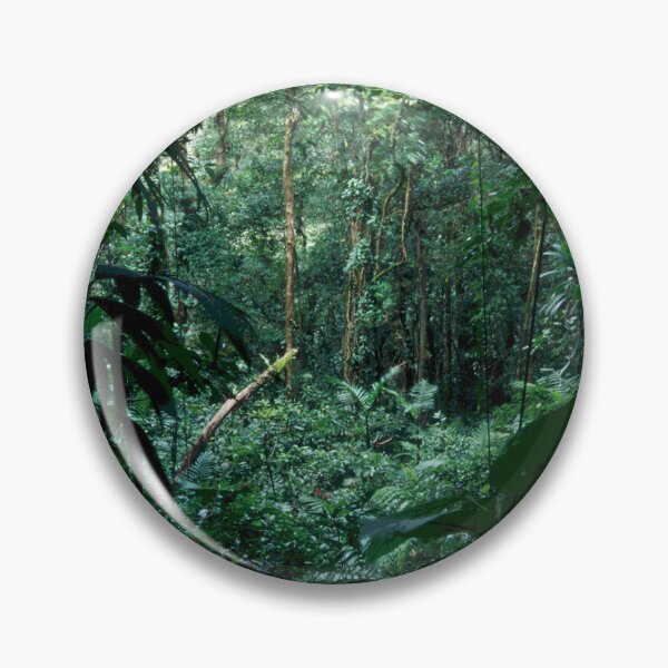 Item preview, Wild Rainforest Jungle Adventure Trek In Costa Rica designed and sold by DEC02.