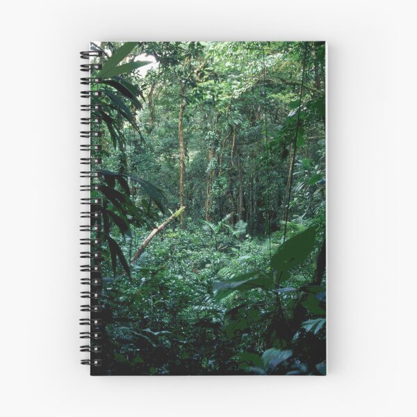Item preview, Wild Rainforest Jungle Adventure Trek In Costa Rica designed and sold by DEC02.