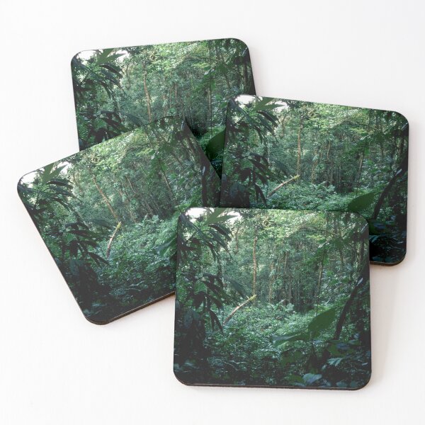Item preview, Wild Rainforest Jungle Adventure Trek In Costa Rica designed and sold by DEC02.