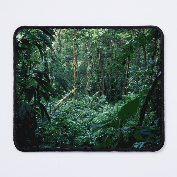 Item preview, Wild Rainforest Jungle Adventure Trek In Costa Rica designed and sold by DEC02.