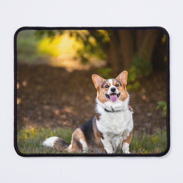 Item preview, Inigo Montoya designed and sold by BGPhoDOGraphy.