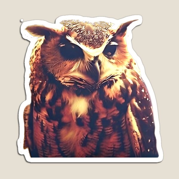 Aperçu de l'œuvre Hibou créée et vendue par Zunko.