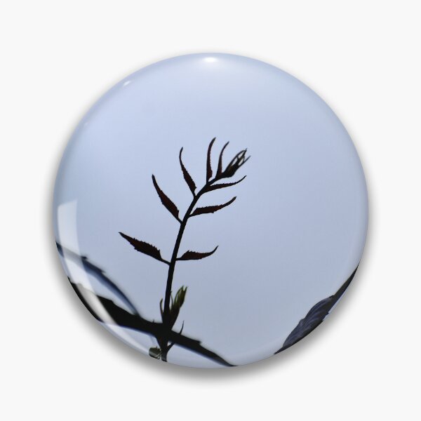 Item preview, A Beautiful Snap of new leave of Plants designed and sold by Rav33822.