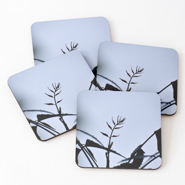 Item preview, A Beautiful Snap of new leave of Plants designed and sold by Rav33822.