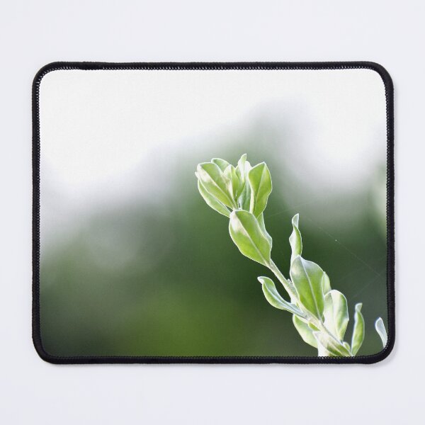 Item preview, A Beautiful Snap of new leave of Plants designed and sold by Rav33822.