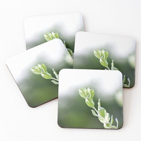Item preview, A Beautiful Snap of new leave of Plants designed and sold by Rav33822.