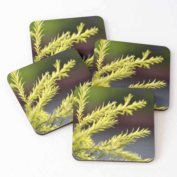 Item preview, A Beautiful Snap of new leave of Plants designed and sold by Rav33822.