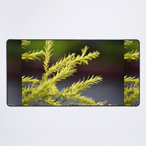 Item preview, A Beautiful Snap of new leave of Plants designed and sold by Rav33822.