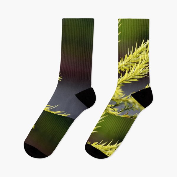 Item preview, A Beautiful Snap of new leave of Plants designed and sold by Rav33822.