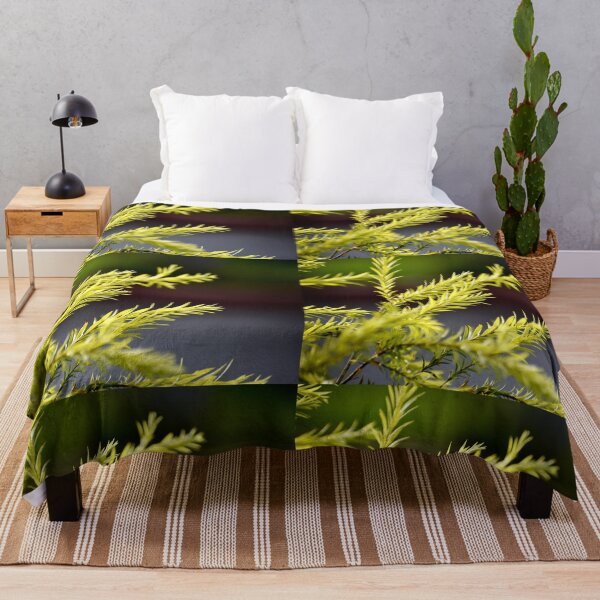 Item preview, A Beautiful Snap of new leave of Plants designed and sold by Rav33822.