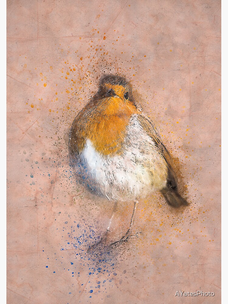 Thumbnail 3 of 3, Sticker, Vintage robin print designed and sold by AYatesPhoto.