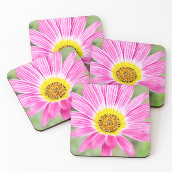 Item preview, Pretty Pink Coastal Wildflower, Aspendale  designed and sold by Liza Clements Photographic.