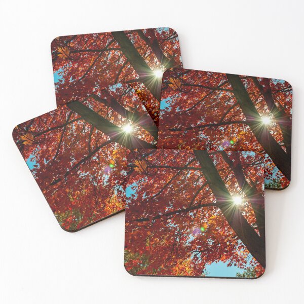 Item preview, Sunlight Through a Red Maple Tree designed and sold by JLorrainePhoto.
