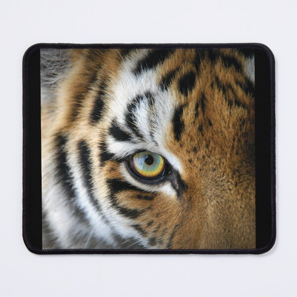 Item preview, The eye of the tiger designed and sold by KNBS.