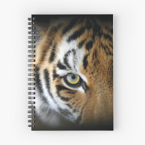 Artikelvorschau, Das Auge des Tigers entworfen und verkauft von KNBS.