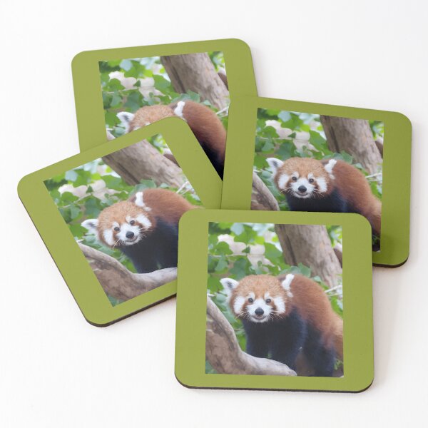 Artikelvorschau, Panda im Columbus Zoo Grafik entworfen und verkauft von atfetyxuee47.