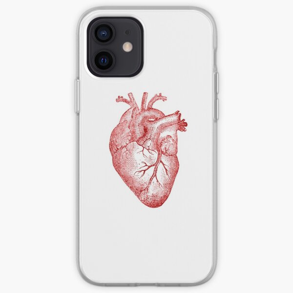 Anatomical Heart Iphone Cases Covers Redbubble