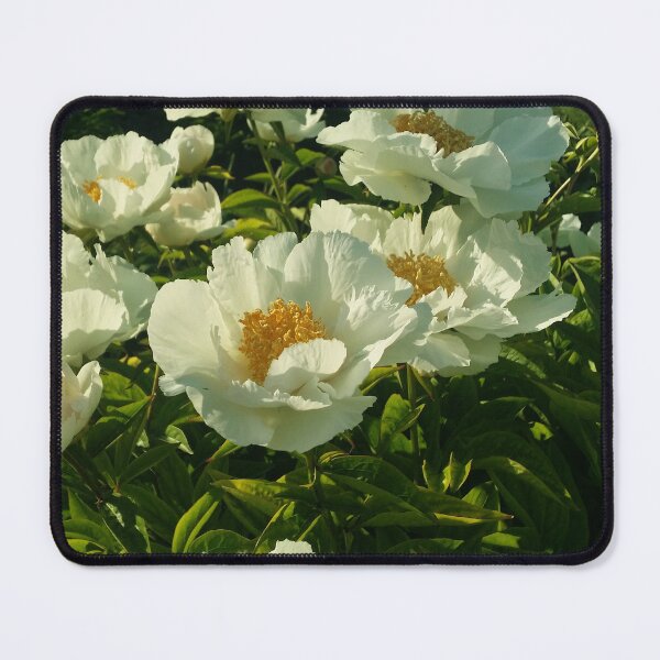 Item preview, Et Ducit Mundum Per Luce designed and sold by OnigiriSuiko.