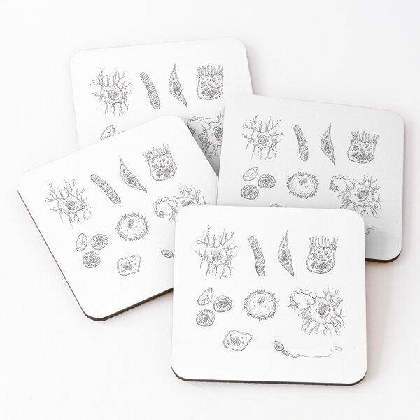 Item preview, Vertebrate Cells (Somatic and Reproductive) designed and sold by squidego.