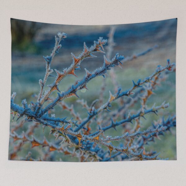 Item preview, Thorns in the Frost designed and sold by Dalyndigital Photography.