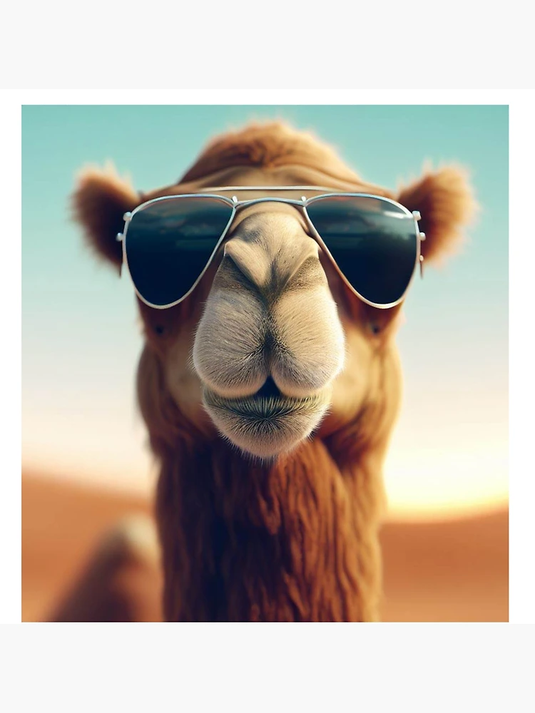 Camel sunglasses online