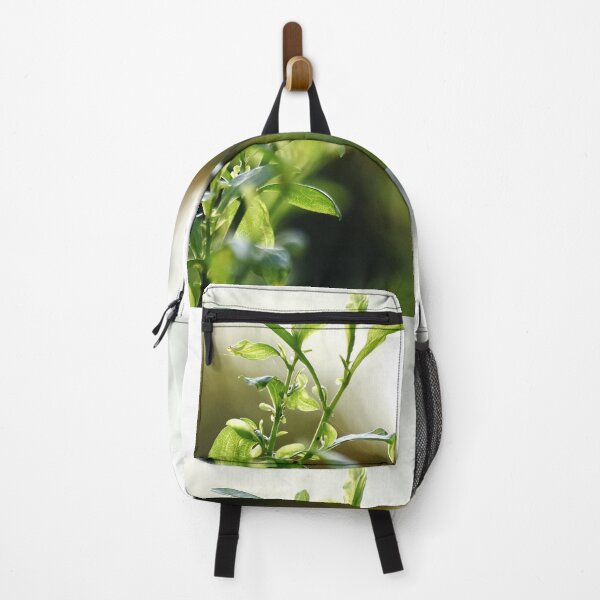 Item preview, A Beautiful Snap of new leave of Plants designed and sold by Rav33822.