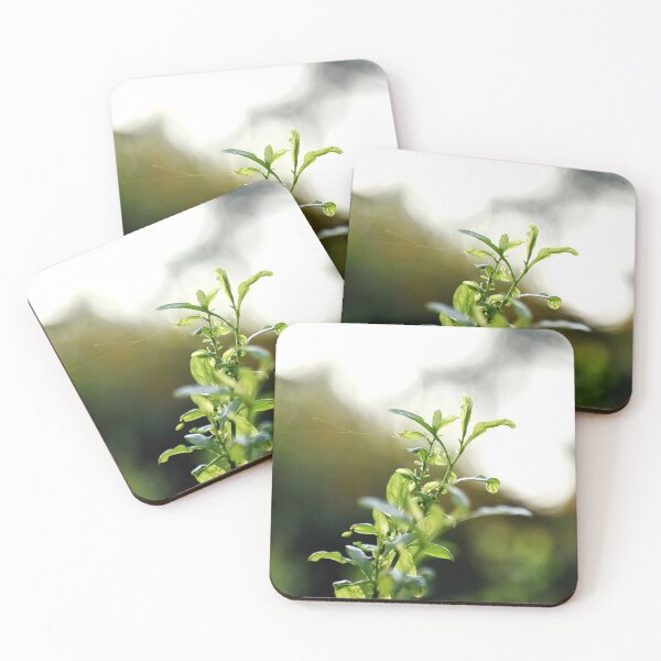 Item preview, A Beautiful Snap of new leave of Plants designed and sold by Rav33822.