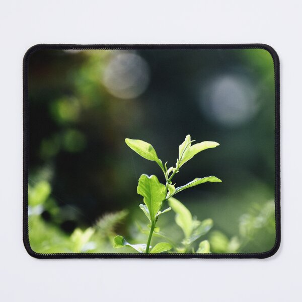 Item preview, A Beautiful Snap of new leave of Plants designed and sold by Rav33822.
