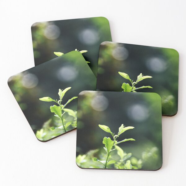 Item preview, A Beautiful Snap of new leave of Plants designed and sold by Rav33822.