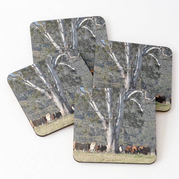 Item preview, COUNTRY LIFESTYLE, GUM TREES AND CATTLE designed and sold by Barbara Jean Photo Art And Design.