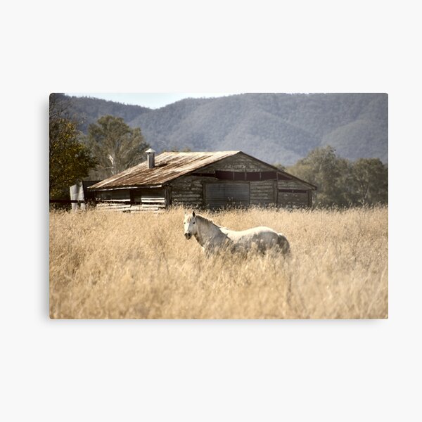 Item preview,  COUNTRY SCENE WITH HORSE AND CABIN designed and sold by Barbara Jean Photo Art And Design.