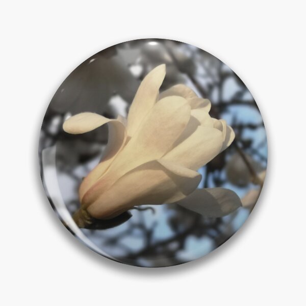 Aperçu de l'œuvre Floraison des magnolias 2023 créée et vendue par WiseFlyDesign.