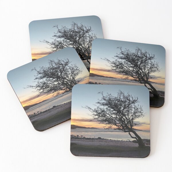 Item preview, Kippford Tree of the year designed and sold by AnnD.