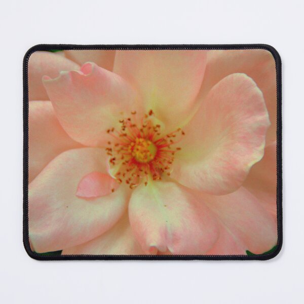 Item preview, Pretty In Pink: dogrose designed and sold by Philip-F-Webb.